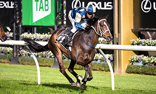 Sierra Sue (NZ) secures a classy win in the Group Two Lexus Rose of Kingston Stakes (1400m).